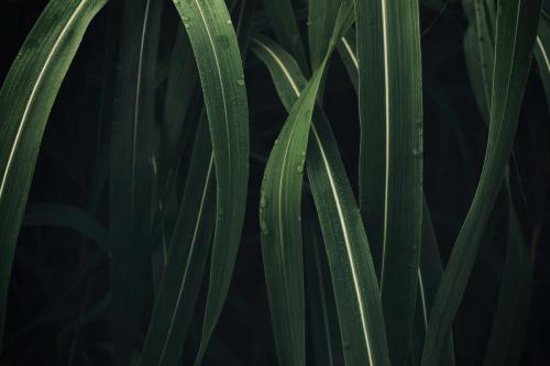 joshua-michaels-xHqOVq9w8OI-unsplash